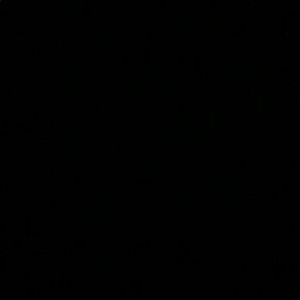 Meet your Posher, Owen